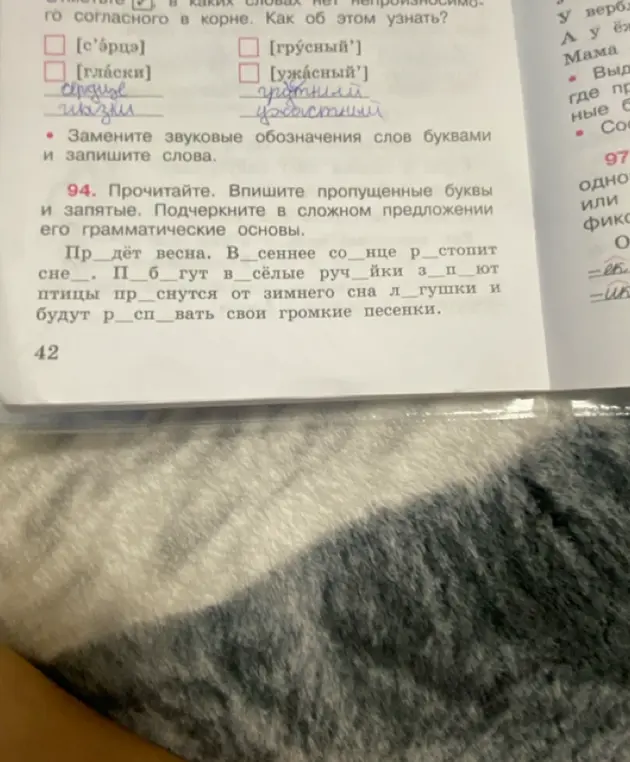 Прочитай текст, впиши пропущенные буквы и запятые, подчеркни в сложном предложении его грамматические основы.