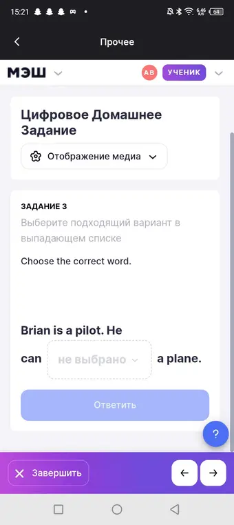 Выбери подходящее слово в предложении 'Brian is a pilot. He can ... a plane.'