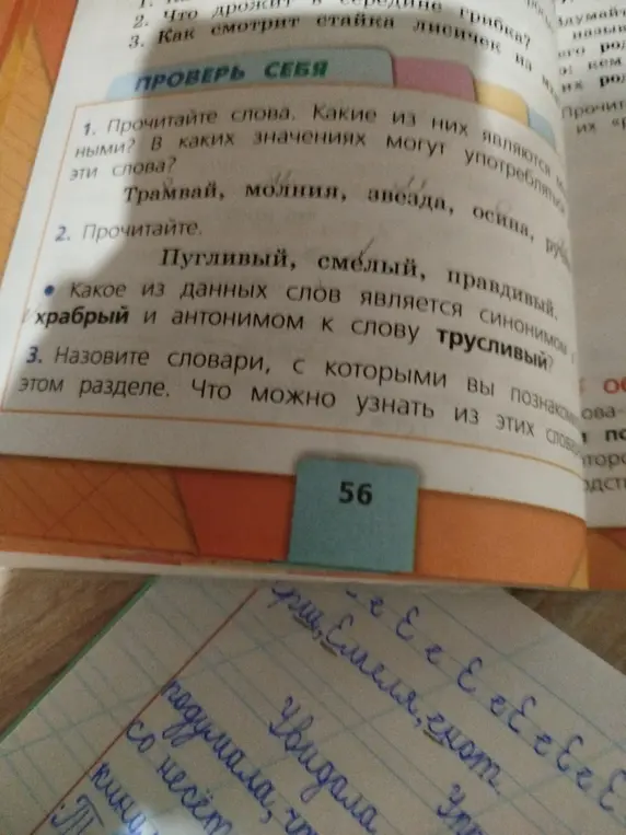 Прочитай слова, определи, какие из них являются именами существительными и в каких значениях могут употребляться.