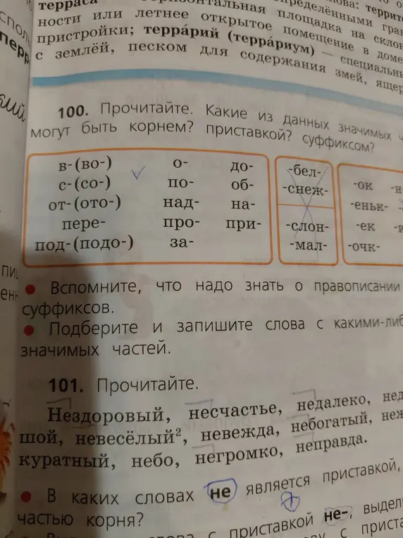 Определи, какие из данных значимых частей могут быть корнем, приставкой, суффиксом; в каких словах 'не' является приставкой, а в каких частью корня.