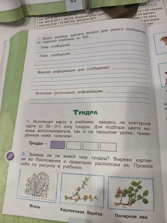 Используя карту в учебнике, закрась на контурной карте зону тундры и вырежи картинки из Приложения и правильно расположи их.