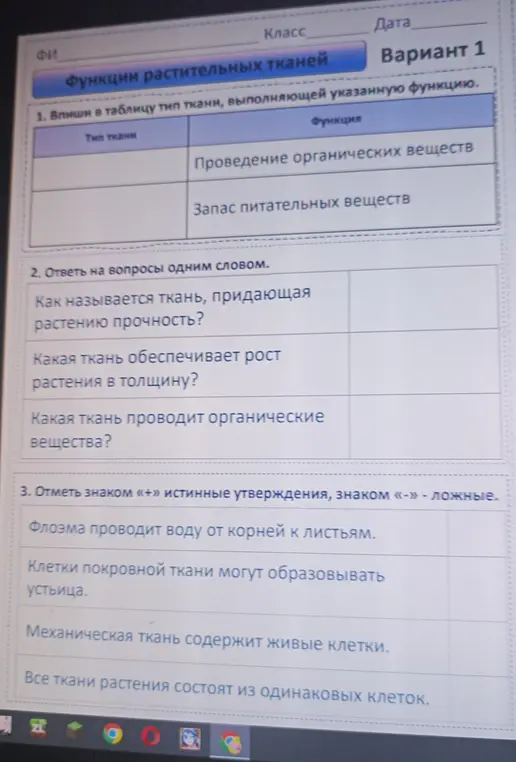 Впиши в таблицу тип ткани, выполняющей указанную функцию, ответь на вопросы одним словом и отметь знаком «+» истинные утверждения, знаком «-» ложные.