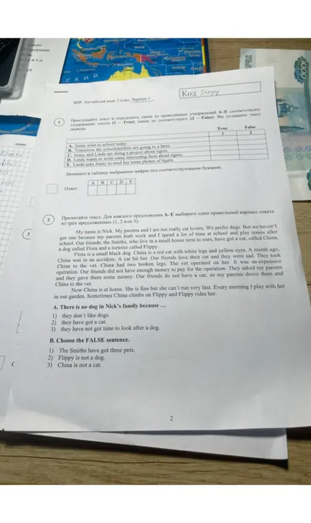 Выполни задания по английскому языку.