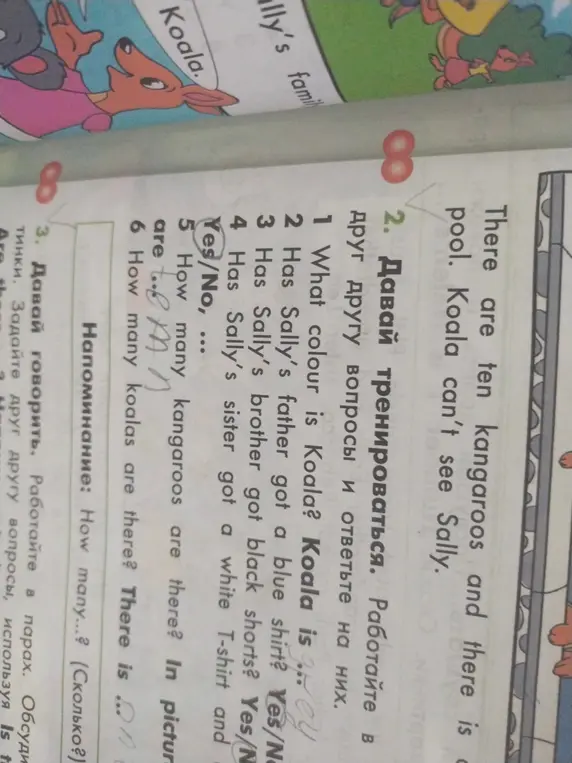 Ответь на вопросы по картинке на английском языке: What colour is Koala?