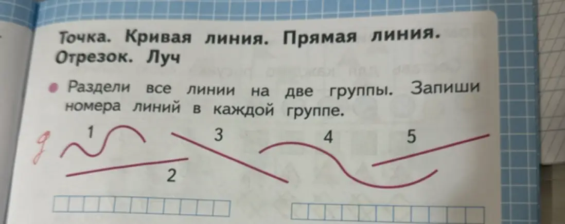 Раздели все линии на две группы и запиши номера линий в каждой группе.