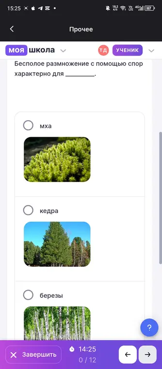 Определи, для чего характерно бесполое размножение с помощью спор.
