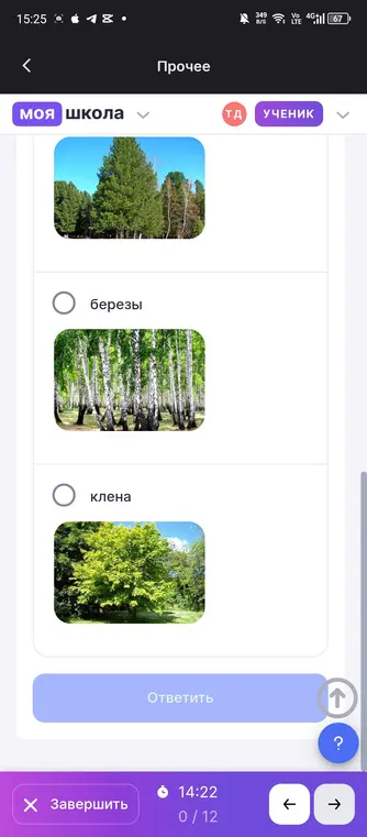 Определи, для чего характерно бесполое размножение с помощью спор.