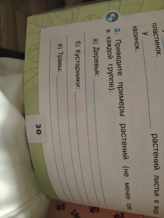 Приведи примеры растений (не менее трёх в каждой группе).