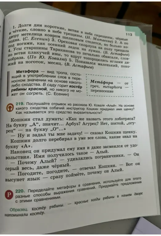 На основе какого сходства собачий инструктор Кошкин придумал имя щенку? Переделай метафоры в сравнения.