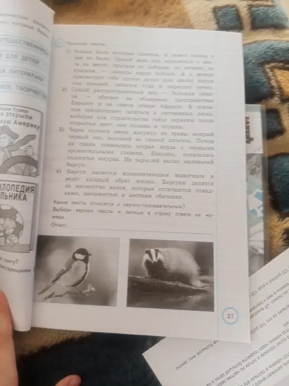 Выбери верные тексты и запиши в строку ответа их номера.