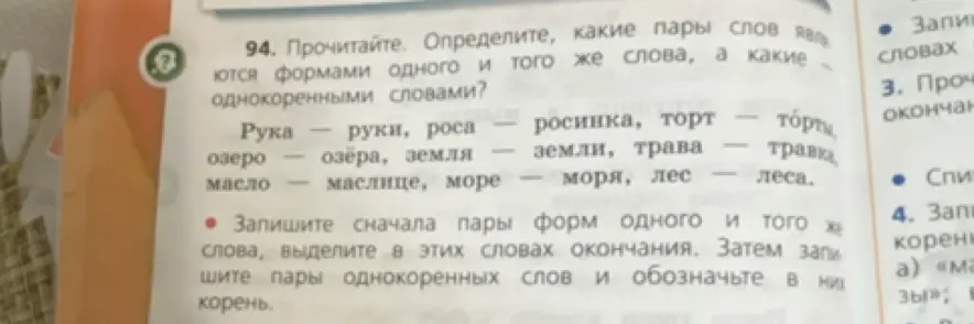 Определи, какие пары слов являются формами одного и того же слова, а какие однокоренными словами.
