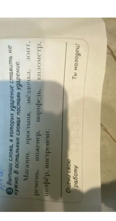 Выпиши слова, в которых ударение ставить не нужно. В остальных словах поставь ударение.