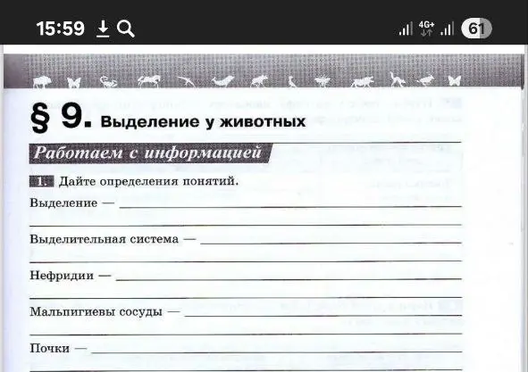 Дай определения понятий: Выделение, Выделительная система, Нефридии, Мальпигиевы сосуды, Почки.