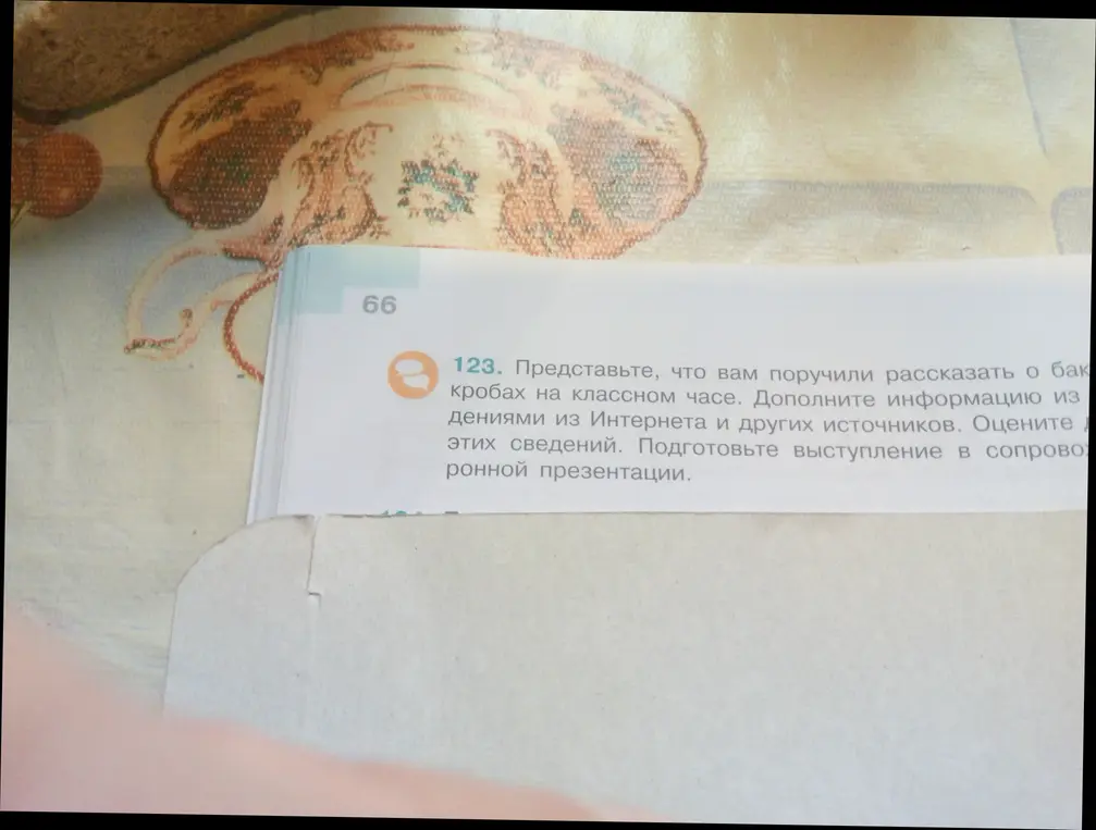 Представь, что тебе поручили рассказать о бактериях на классном часе и дополни информацию из Интернета и других источников.