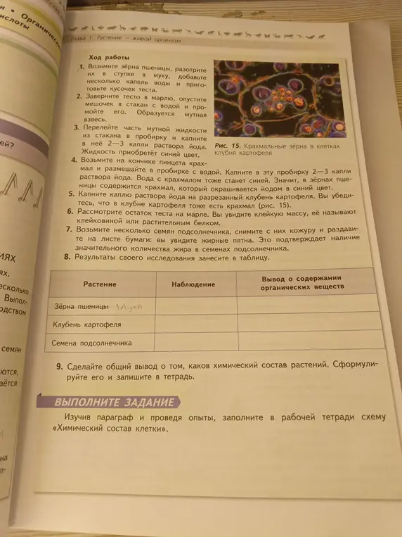 Сделай таблицу биология 6 класс 24-25 страница, чтобы вместо зёрна пшеницы была мука растение наблюдение вывод и содержании органических веществ