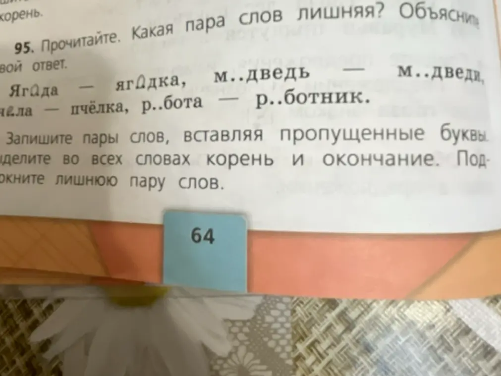 Определи, какая пара слов лишняя.