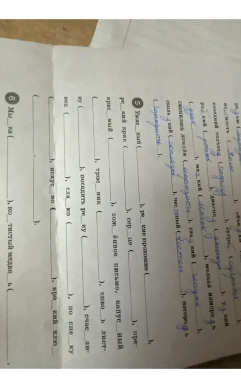 Вставь пропущенные буквы и подбери проверочные слова в упражнениях 5 и 6