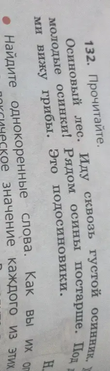 Найди однокоренные слова в тексте про осиновый лес и объясни их лексическое значение.