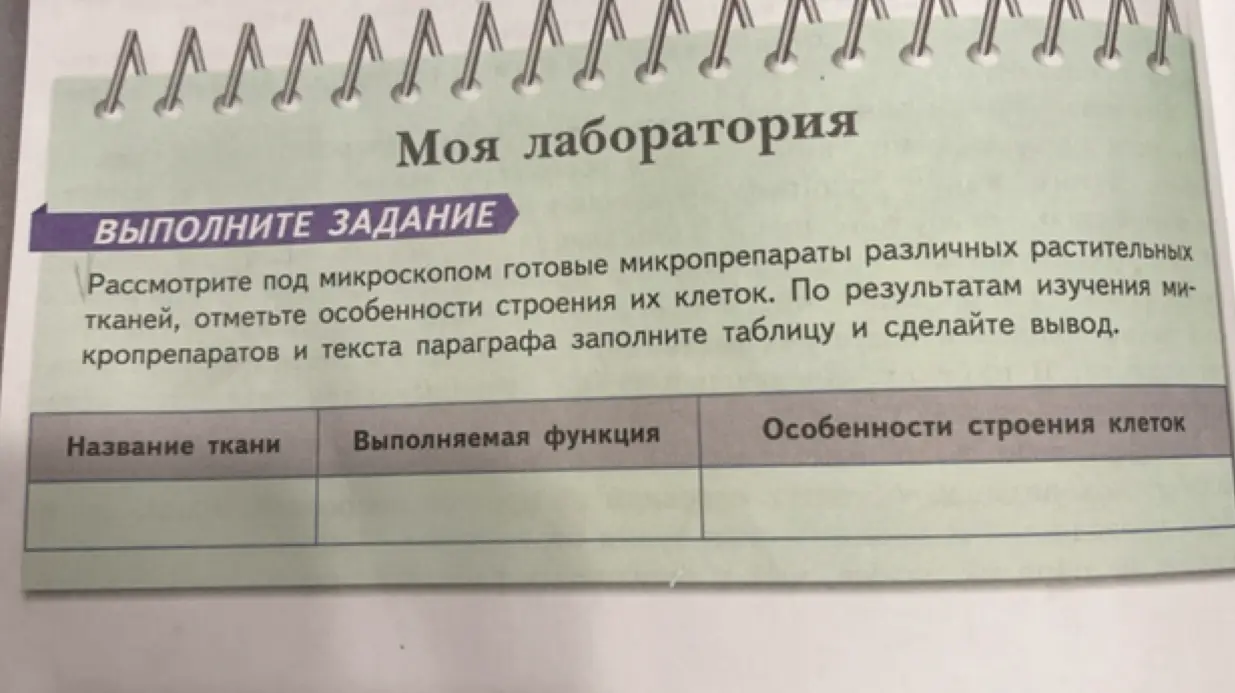 Рассмотри под микроскопом микропрепараты различных растительных тканей, отметь особенности строения их клеток, заполни таблицу и сделай вывод.