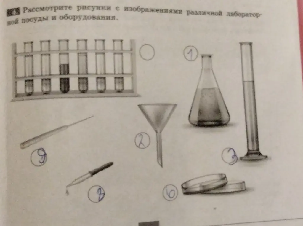 Рассмотри рисунки с изображениями различной лабораторной посуды и оборудования.