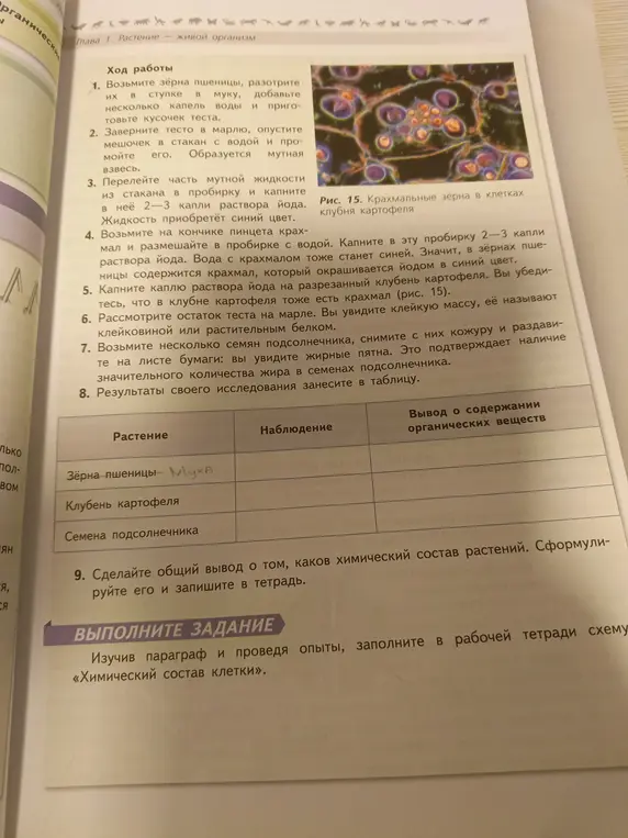 Сделай таблицу биология 6 класс 24-25 страница, чтобы вместо зёрен пшеницы была мука: растение, наблюдение, вывод и содержание органических веществ