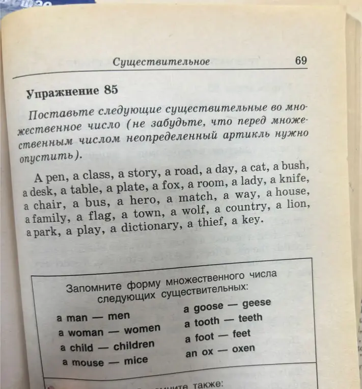 Поставь следующие существительные во множественное число.
