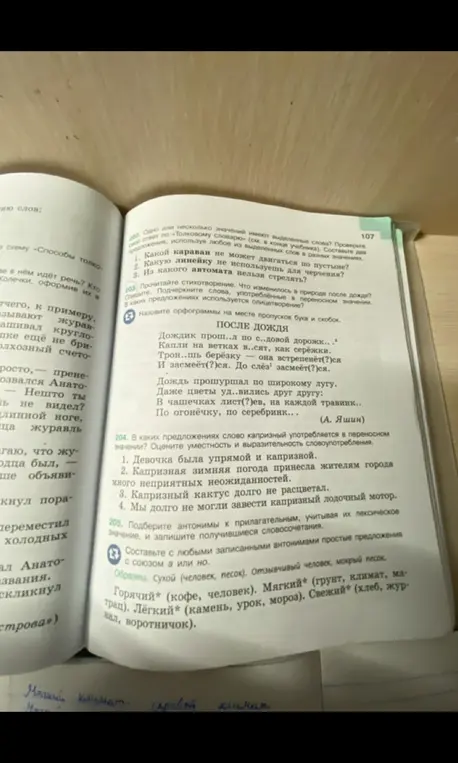 Прочитай стихотворение. Что изменилось в природе после дождя? Спишите. Подчеркните слова, употребленные в переносном значении. В каких предложениях используется олицетворение?