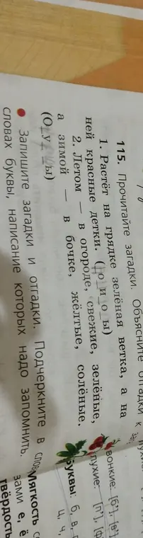 Прочитай загадки и объясни отгадки к загадкам.