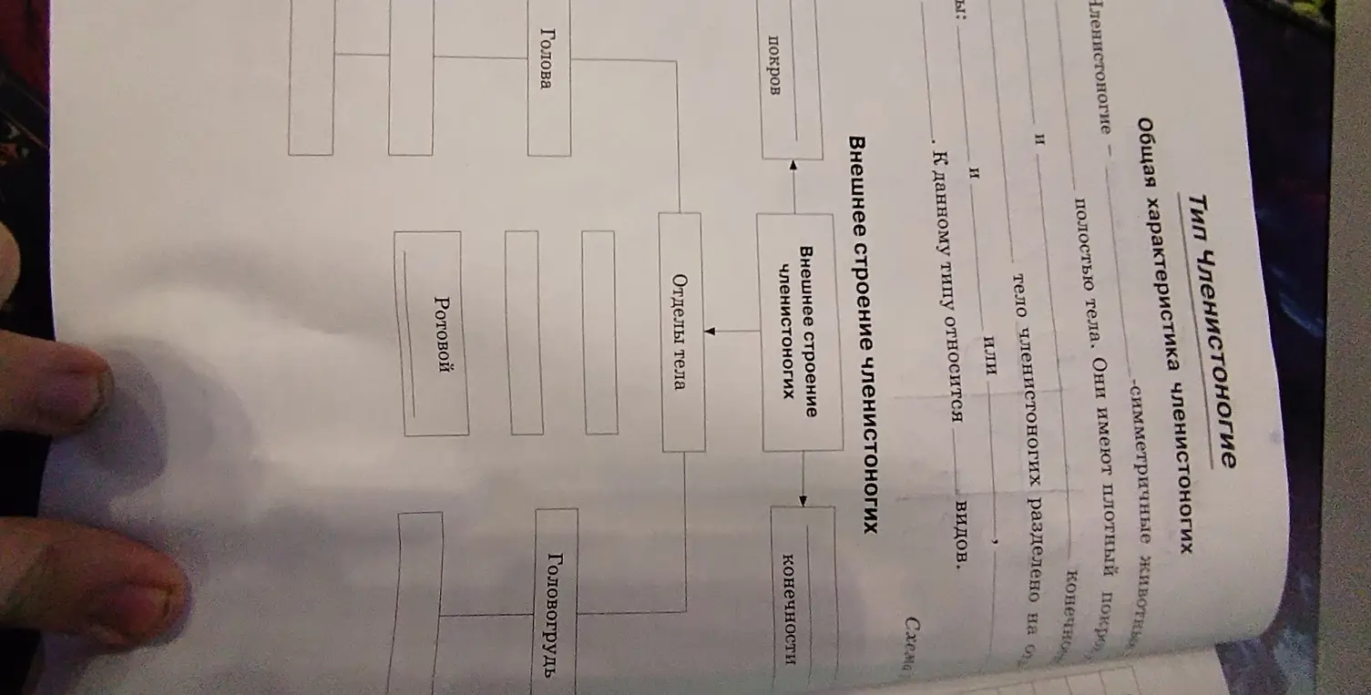 Заполни схему про внешнее строение и отделы тела членистоногих.