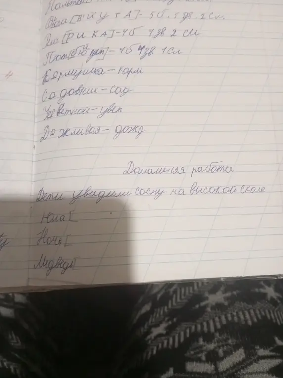 Определи, что написано в тетради на изображении.