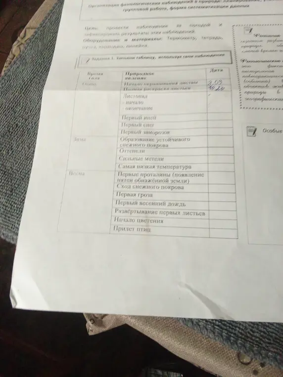 Заполни таблицу, используя свои наблюдения.