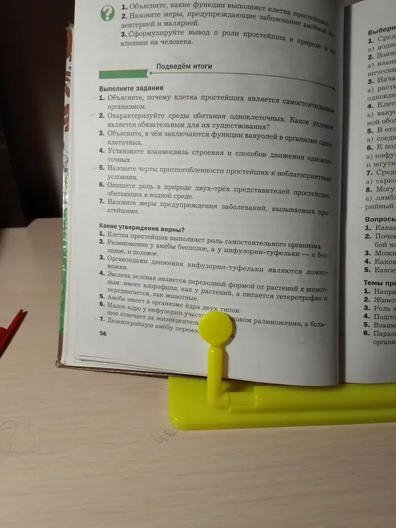 Объясни, почему клетка простейших является самостоятельным организмом.