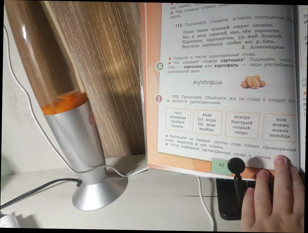 Объясни, все ли слова в каждой группе являются однокоренными.