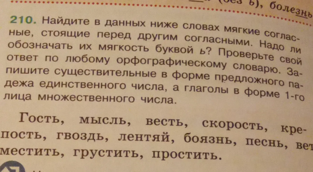 Найди в словах мягкие согласные, стоящие перед другими согласными, запиши существительные в форме предложного падежа единственного числа, а глаголы в форме 1-го лица множественного числа.