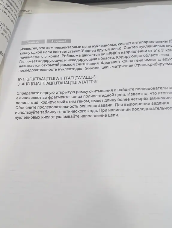 Определи верную открытую рамку считывания и найди последовательность аминокислот во фрагменте конца полипептидной цепи.