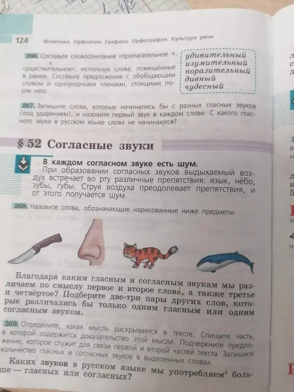 Назови слова, обозначающие нарисованные предметы; определи мысль текста, спиши часть, подчеркни предложение, запиши количество гласных и согласных в словах.