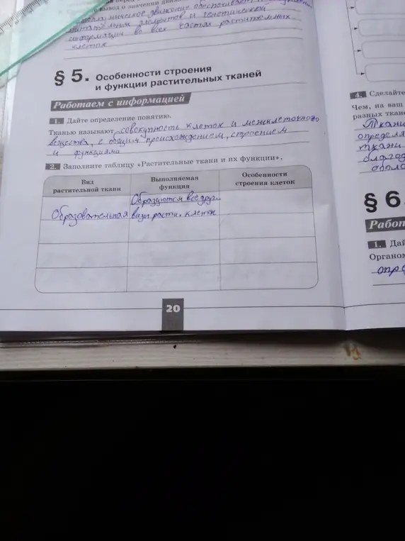 Дай определение понятию "ткань" и заполни таблицу про растительные ткани и их функции.