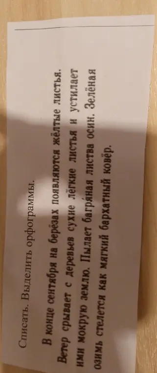 Спиши текст. Выдели орфограммы.