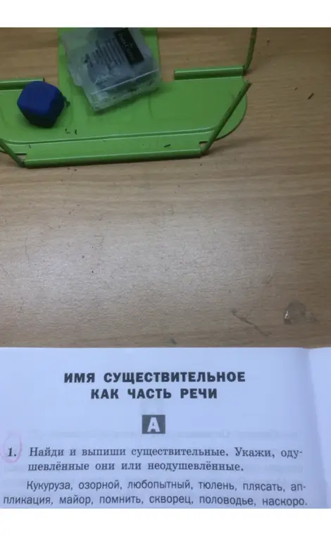 Найди и выпиши существительные. Укажи, одушевлённые они или неодушевлённые.