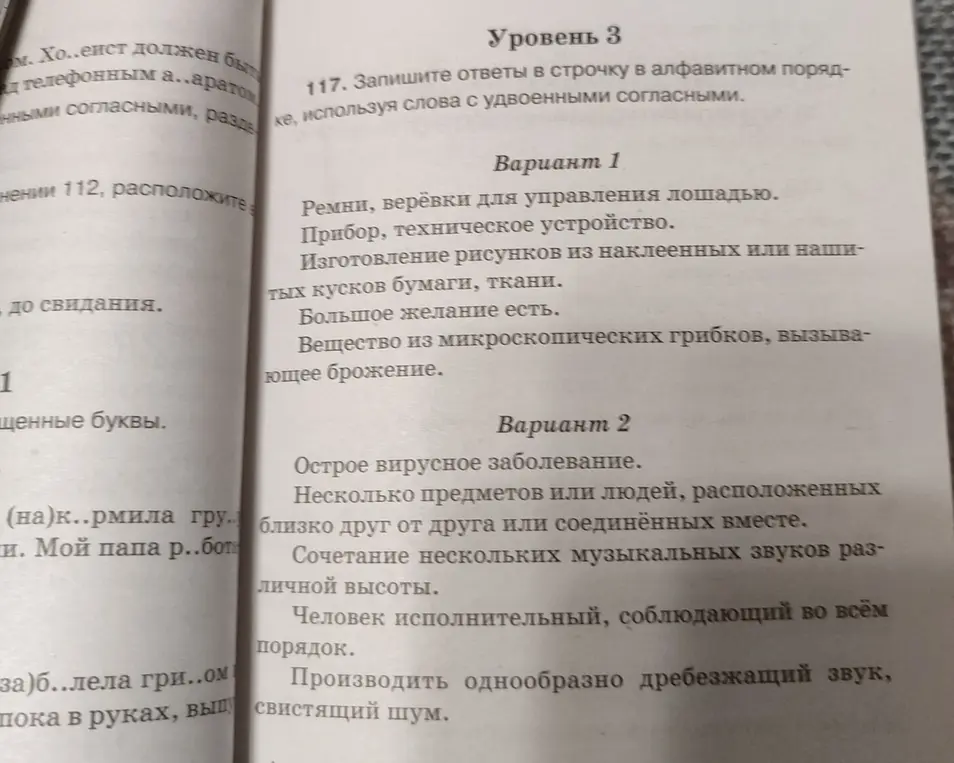 Запиши ответы в строчку в алфавитном порядке, используя слова с удвоенными согласными.