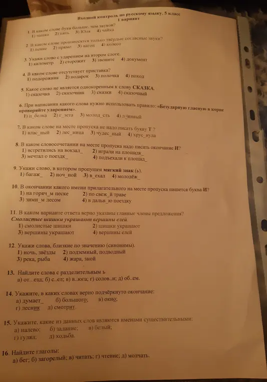 Выполни задания входного контроля по русскому языку.