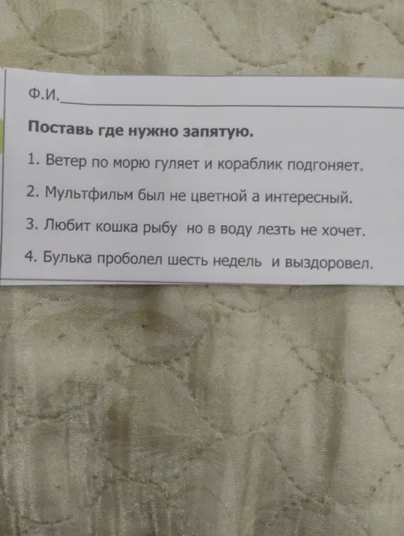 Поставь, где нужно, запятые в предложениях.