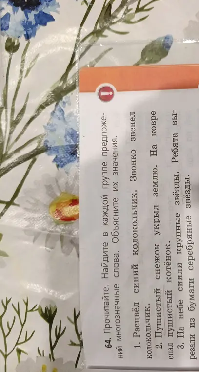Прочитай. Найди в каждой группе предложений многозначные слова. Объясни их значения.