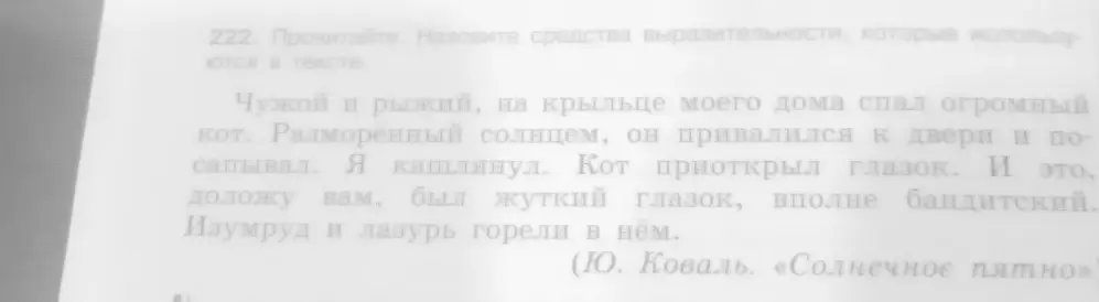 Назови средства выразительности, которые используются в тексте про кота.