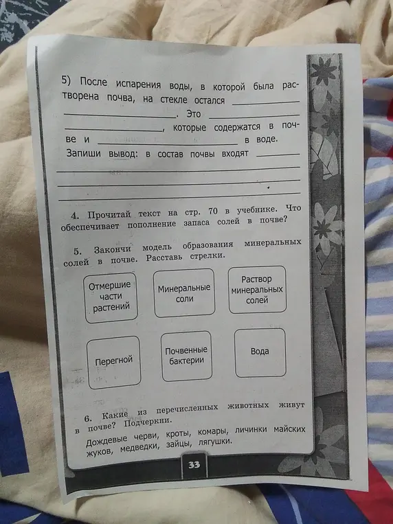 Ответь на вопросы и закончи модель образования минеральных солей в почве.