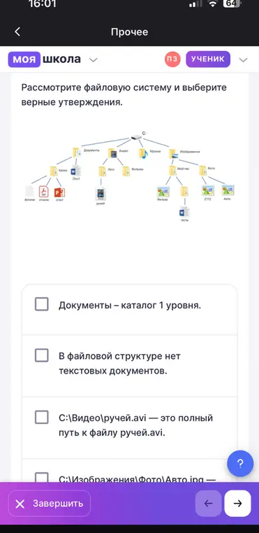 Рассмотри файловую систему и выбери верные утверждения.