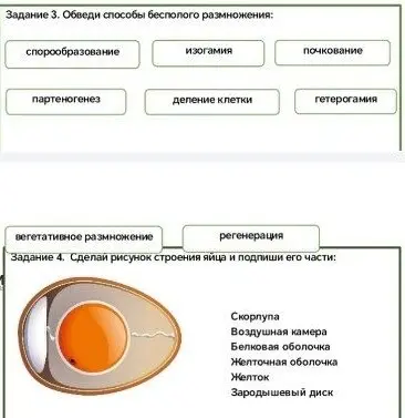 Обведи способы бесполого размножения и сделай рисунок строения яйца и подпиши его части.