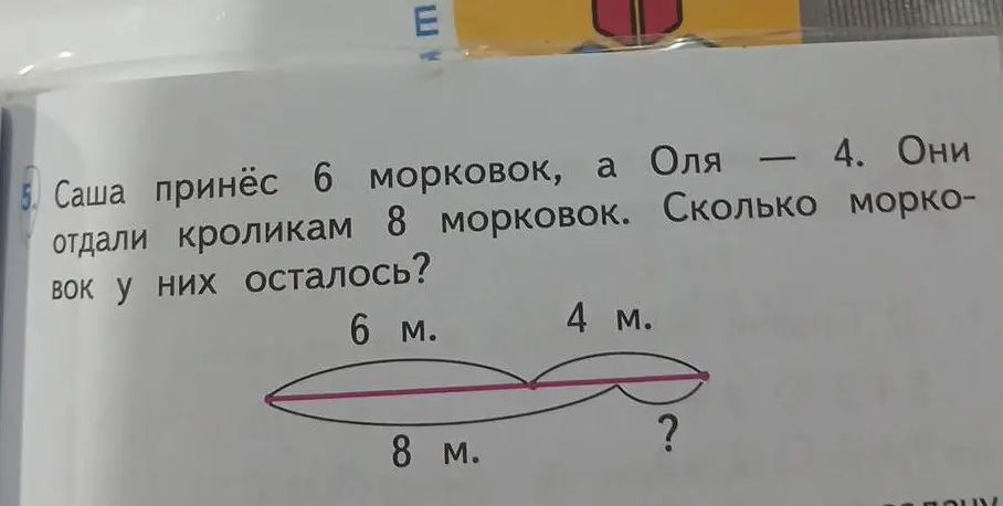 Реши задачу: Саша принёс 6 морковок, а Оля — 4. Они отдали кроликам 8 морковок. Сколько морковок у них осталось?
