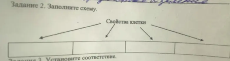 Заполни схему "Свойства клетки".