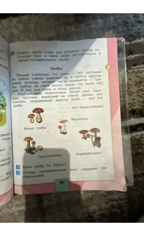 Сравни, какие слова для описания грибов использует поэт, а какие слова употребляются в научно-познавательном тексте.